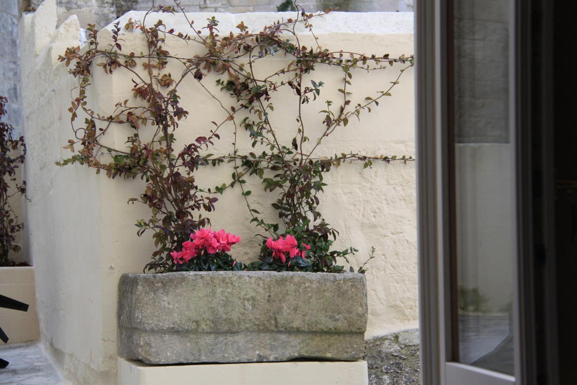 מטרה Alla Dimora Di Chiara Suite And Rooms חדר תמונה